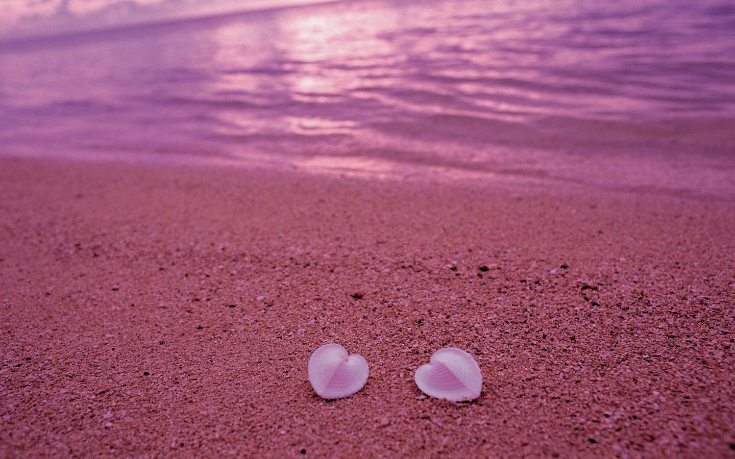 Обои берег, песок, пляж, сердце, ракушки, любовь, розовый, shore, sand, beach, heart, shell, love, pink разрешение 2560x1600 Загрузить
