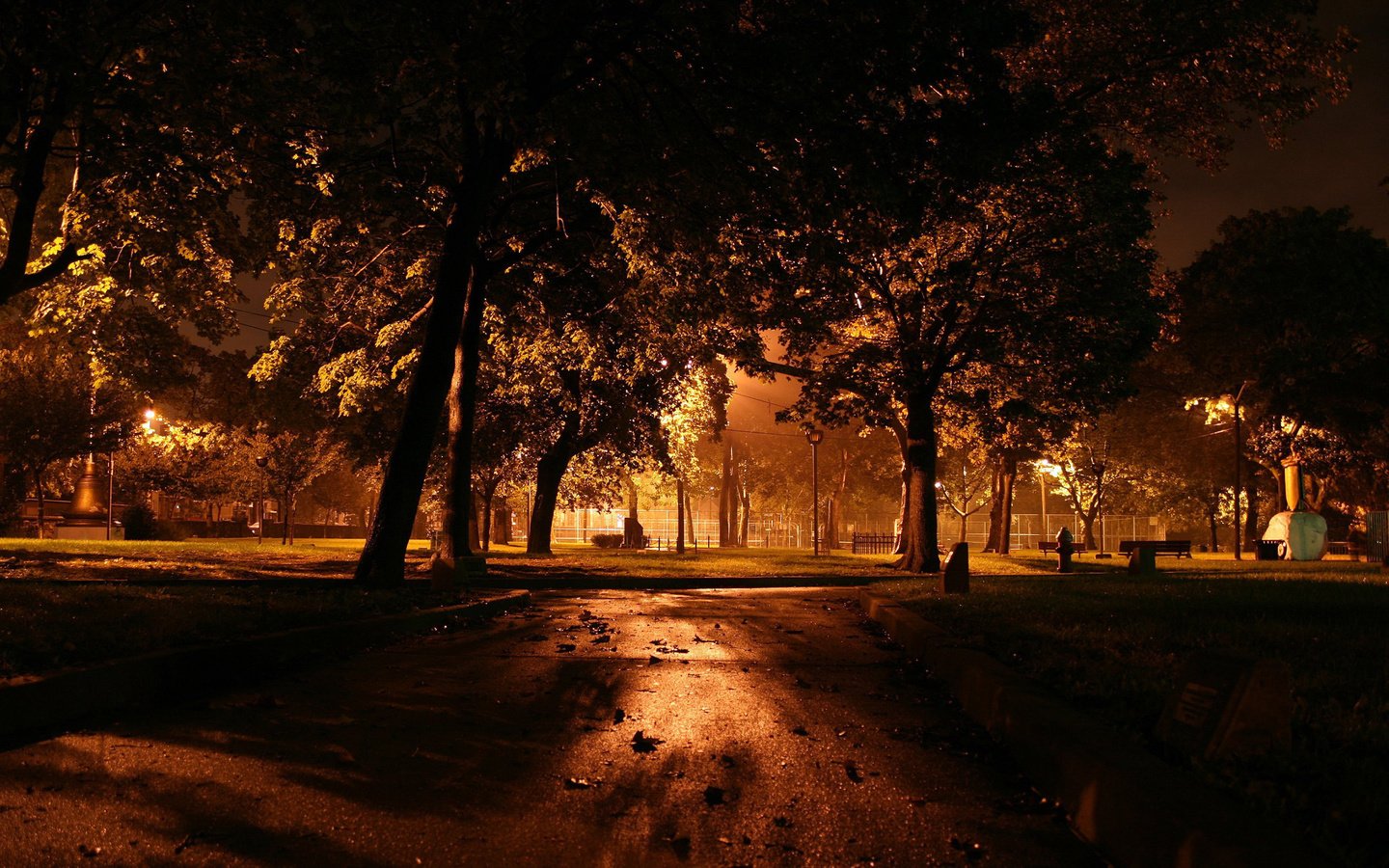 Обои ночь, деревья, фонари, night, trees, lights разрешение 2560x1600 Загрузить