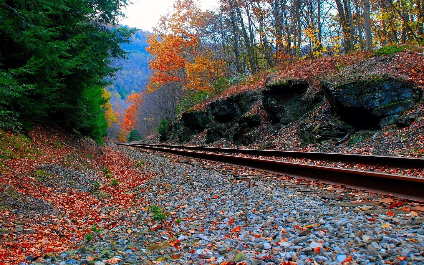 Обои дорога, лес, осень, железная, road, forest, autumn, iron разрешение 1920x1200 Загрузить