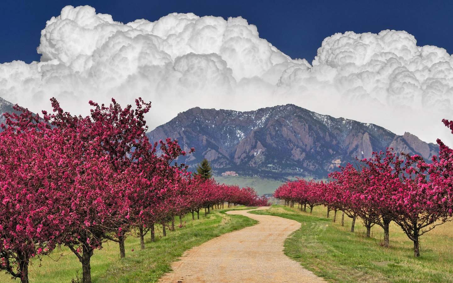 Обои небо, дорога, облака, деревья, горы, цветущее, the sky, road, clouds, trees, mountains, flowering разрешение 1920x1200 Загрузить