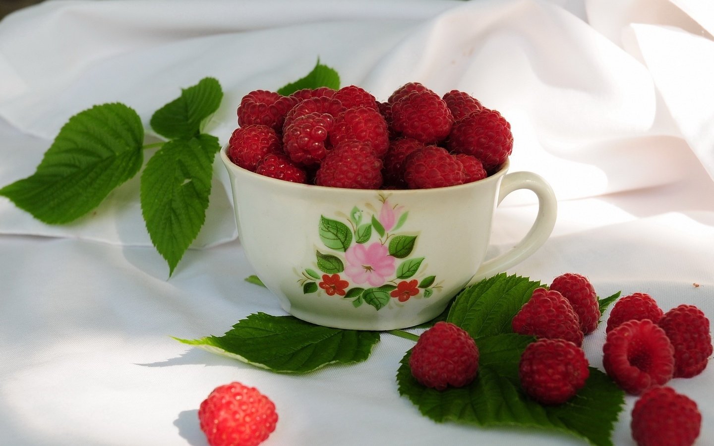 Обои малина, кружка, листики, raspberry, mug, leaves разрешение 2048x1536 Загрузить