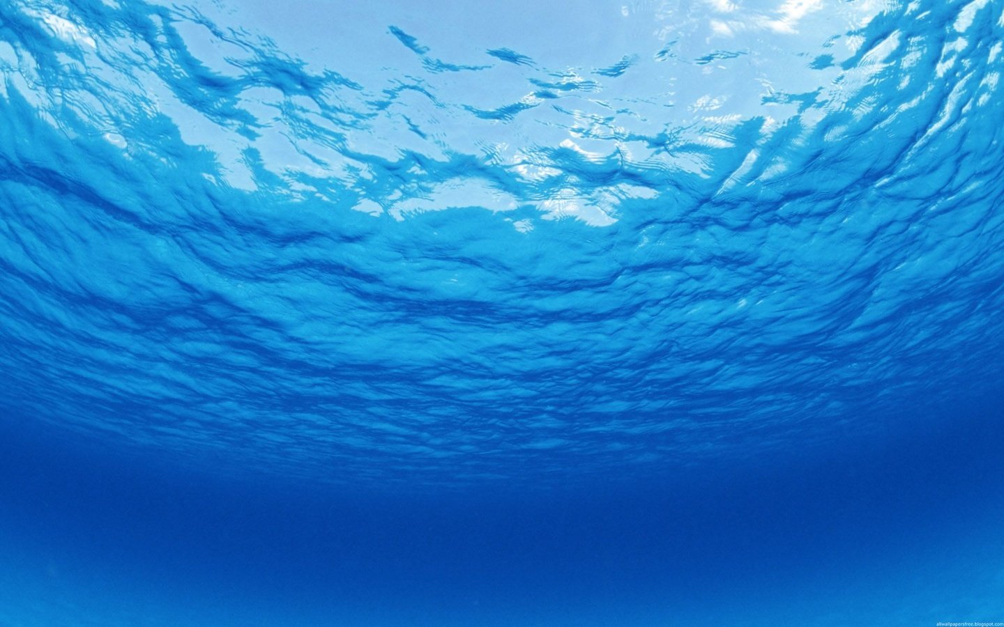 Обои вода, океан, прозрачная, water, the ocean, transparent разрешение 1920x1200 Загрузить