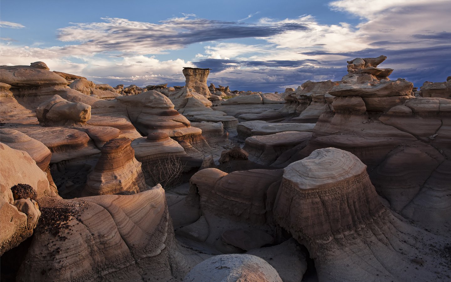 Обои камни, пустыня, bisti badlands, stones, desert разрешение 2560x1600 Загрузить
