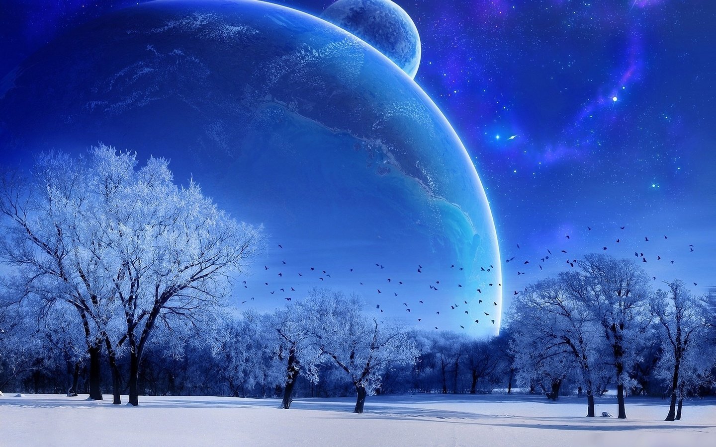 Обои небо, деревья, зима, луна, голубой, the sky, trees, winter, the moon, blue разрешение 1920x1200 Загрузить