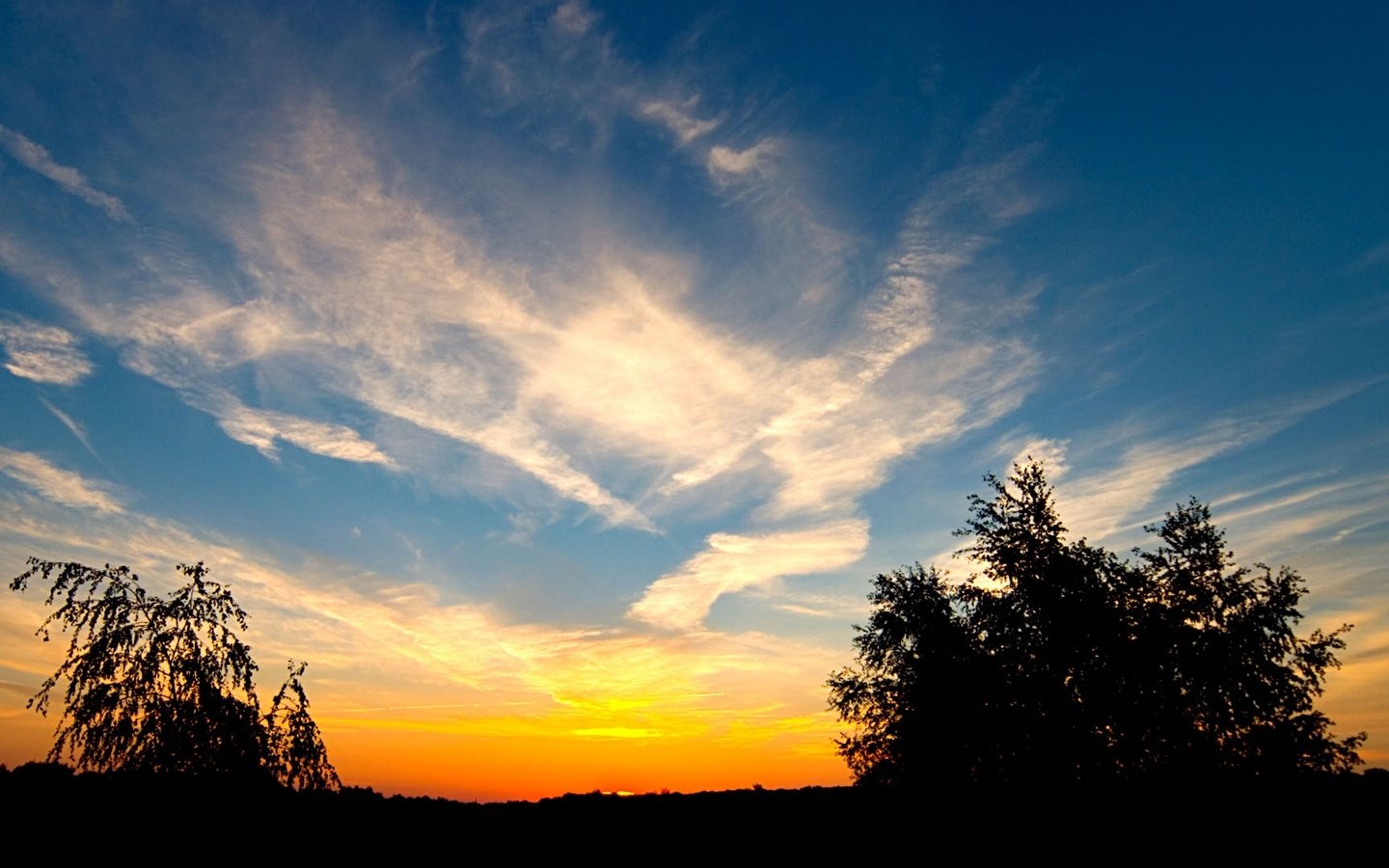 Обои небо, облака, деревья, закат, the sky, clouds, trees, sunset разрешение 1920x1080 Загрузить