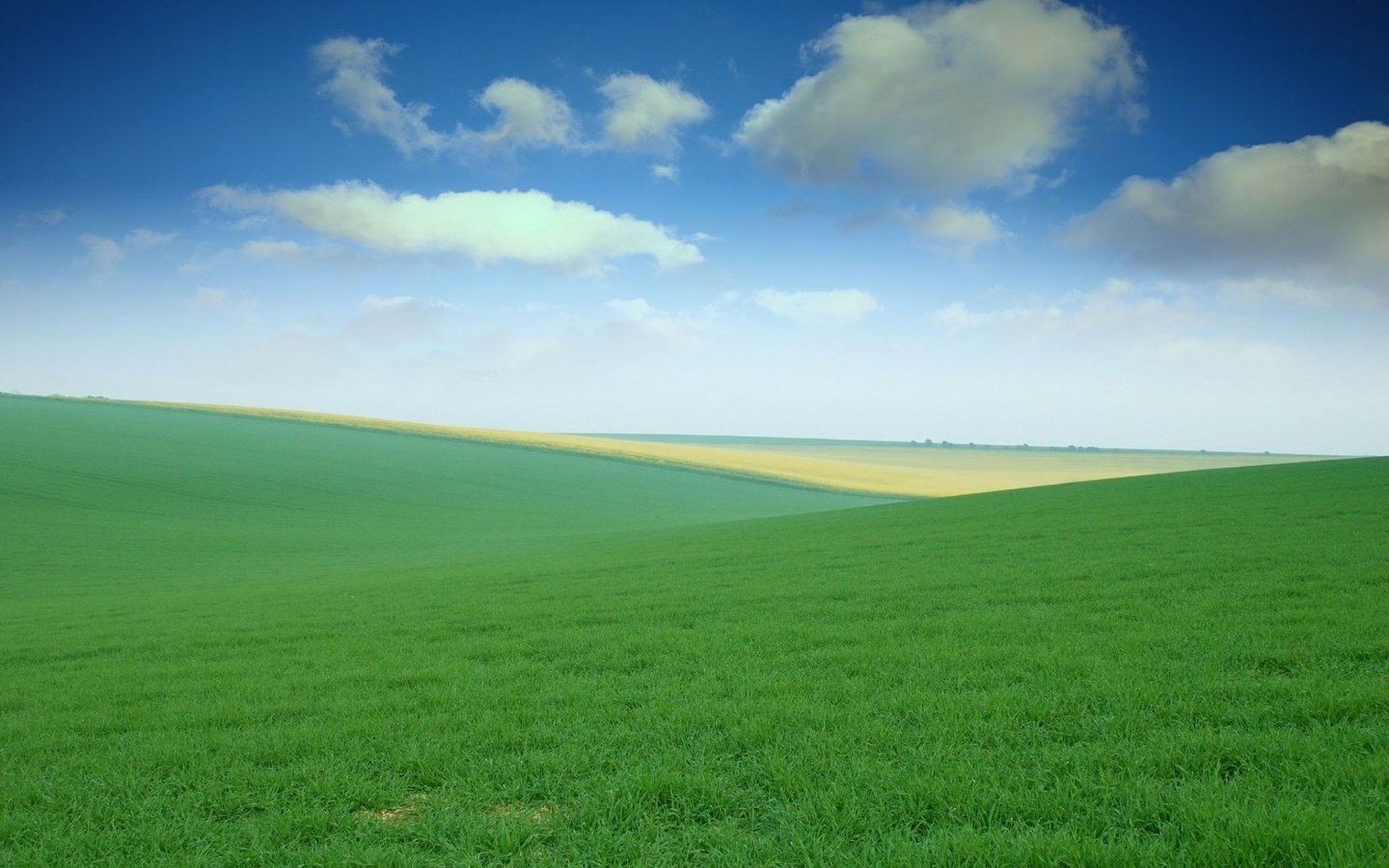 Обои небо, трава, поля, просторы, луга, the sky, grass, field, spaces, meadows разрешение 1920x1275 Загрузить