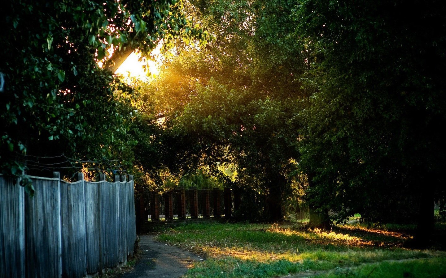 Обои свет, трава, солнце, забор, деверья, light, grass, the sun, the fence, devereaux разрешение 1920x1440 Загрузить