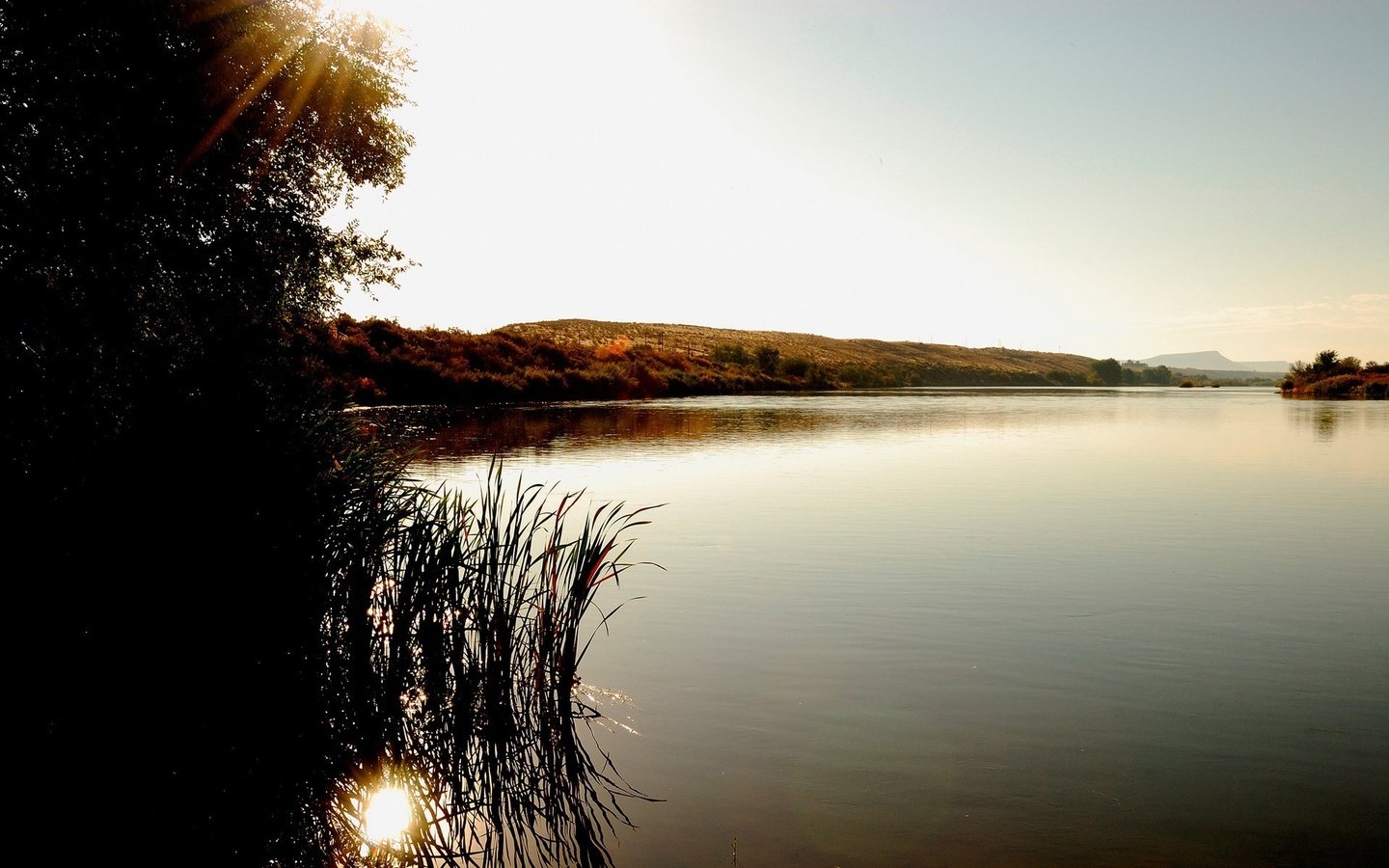 Обои озеро, холмы, дерево, лучи солнца, куст, lake, hills, tree, the rays of the sun, bush разрешение 1920x1200 Загрузить