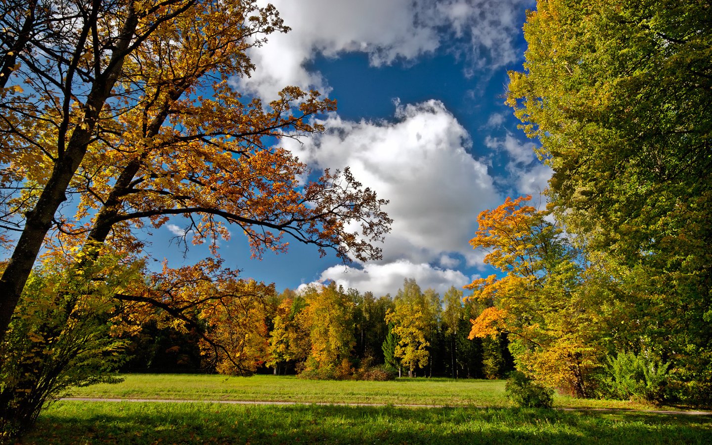 Обои небо, дорога, облака, осень, посадка, осен, the sky, road, clouds, autumn, landing разрешение 1920x1200 Загрузить