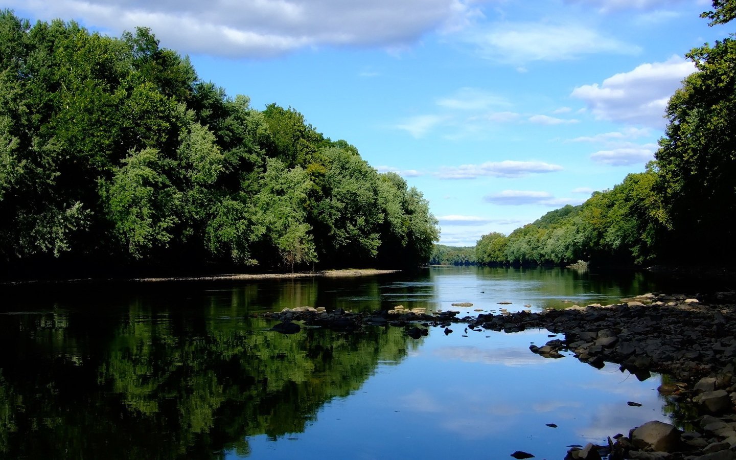 Обои небо, река, лес, the sky, river, forest разрешение 1920x1200 Загрузить