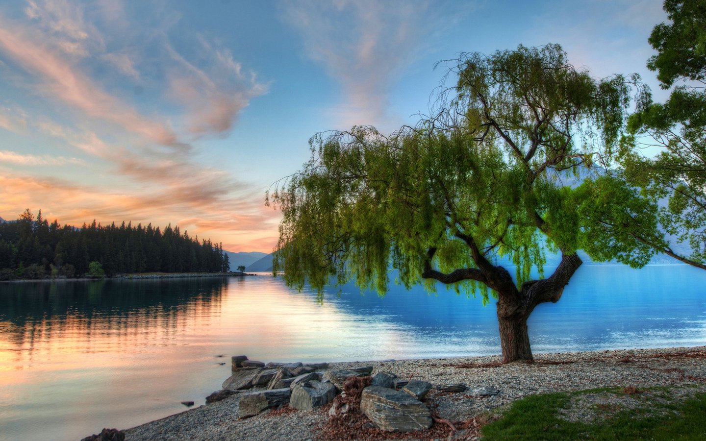 Обои озеро, дерево, закат, новая зеландия, lake, tree, sunset, new zealand разрешение 1920x1080 Загрузить