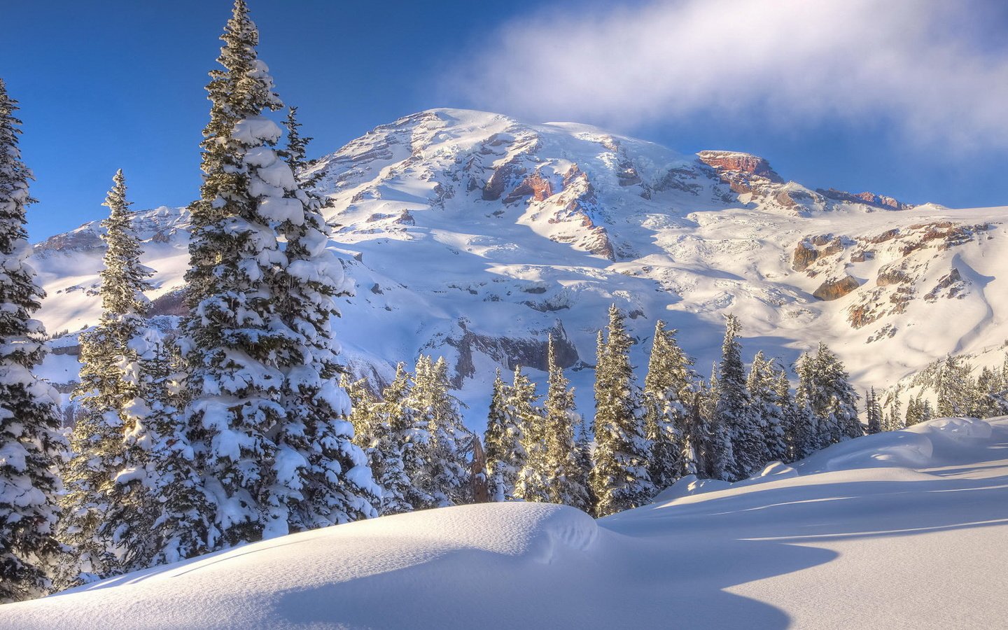 Обои деревья, горы, снег, зима, trees, mountains, snow, winter разрешение 1920x1080 Загрузить