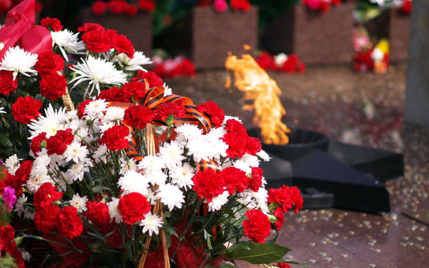 Обои день победы, 9 мая, вечный огонь, victory day, may 9, eternal flame разрешение 2838x2008 Загрузить