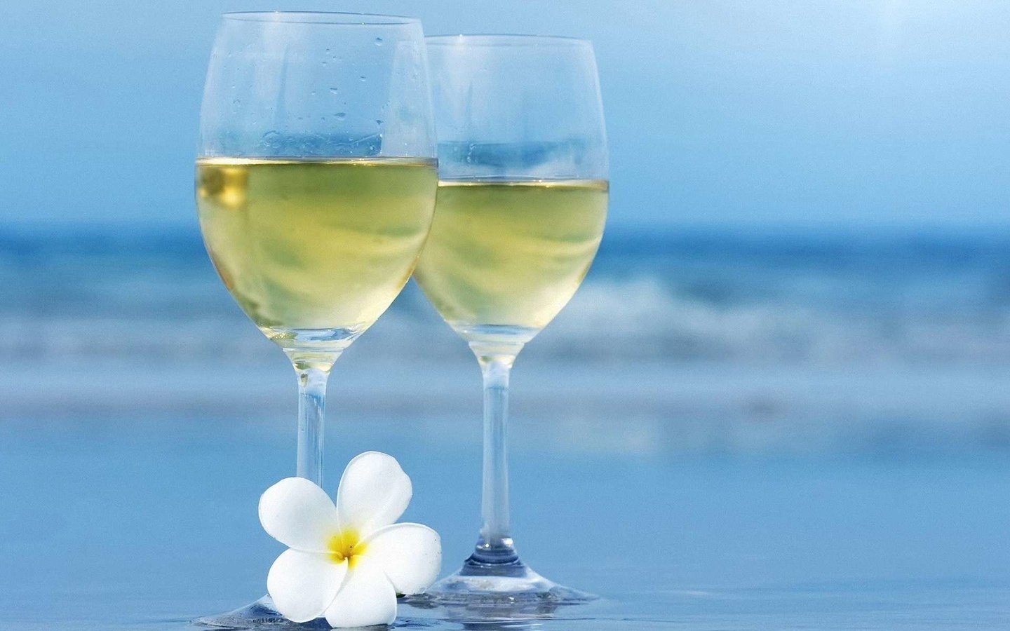 Обои море, бокалы, белое вино, sea, glasses, white wine разрешение 1920x1200 Загрузить