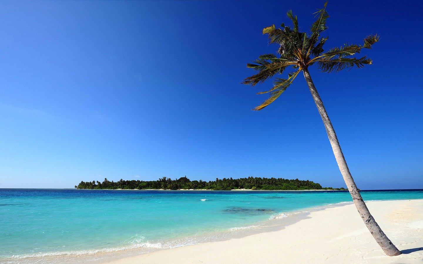 Обои пляж, тропики, beach, tropics разрешение 2560x1600 Загрузить