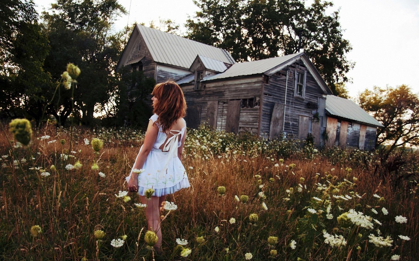 Обои цветы, девушка, поле, дом, голубое платье, flowers, girl, field, house, blue dress разрешение 1920x1200 Загрузить