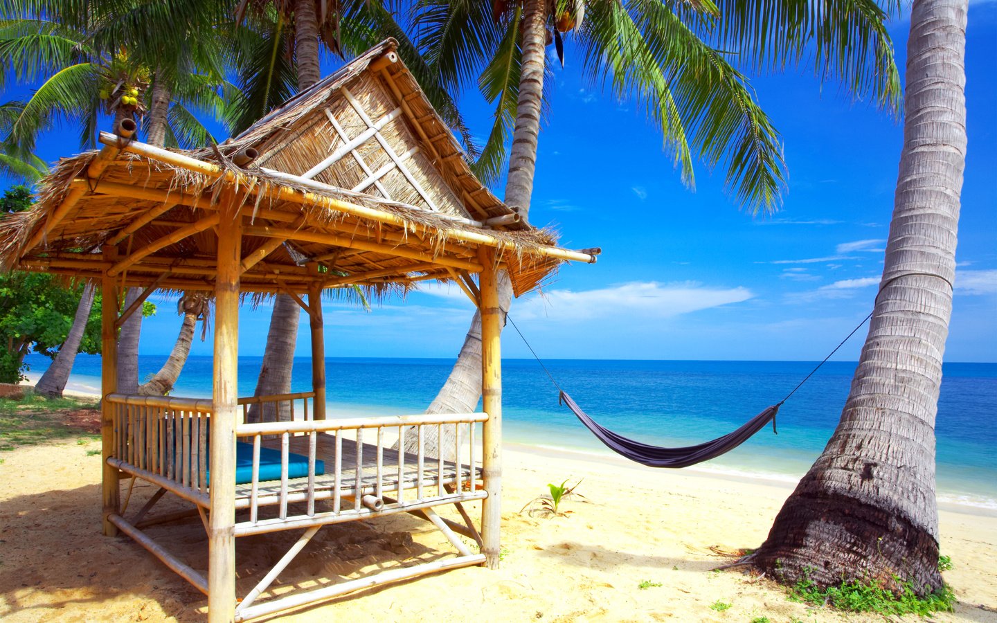Обои море, пляж, гамак, тропики, sea, beach, hammock, tropics разрешение 3200x2127 Загрузить