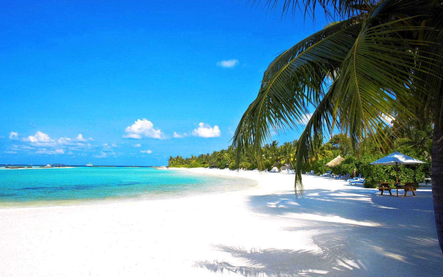 Обои море, пляж, тропики, мальдивы, sea, beach, tropics, the maldives разрешение 2100x1254 Загрузить
