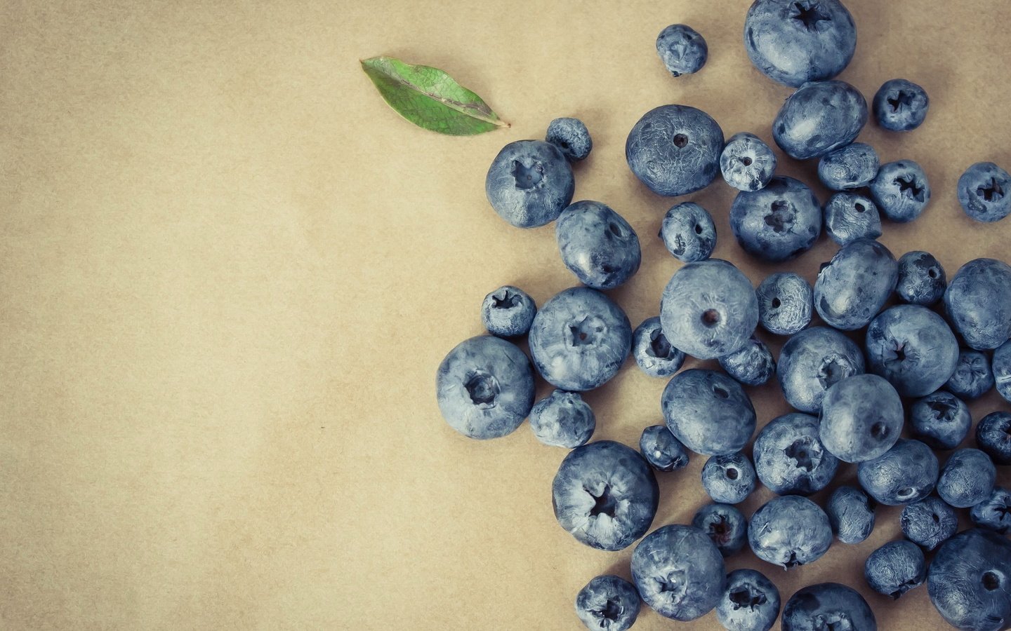 Обои фон, ягода, листик, черника, голубика, background, berry, leaf, blueberries разрешение 2048x1332 Загрузить