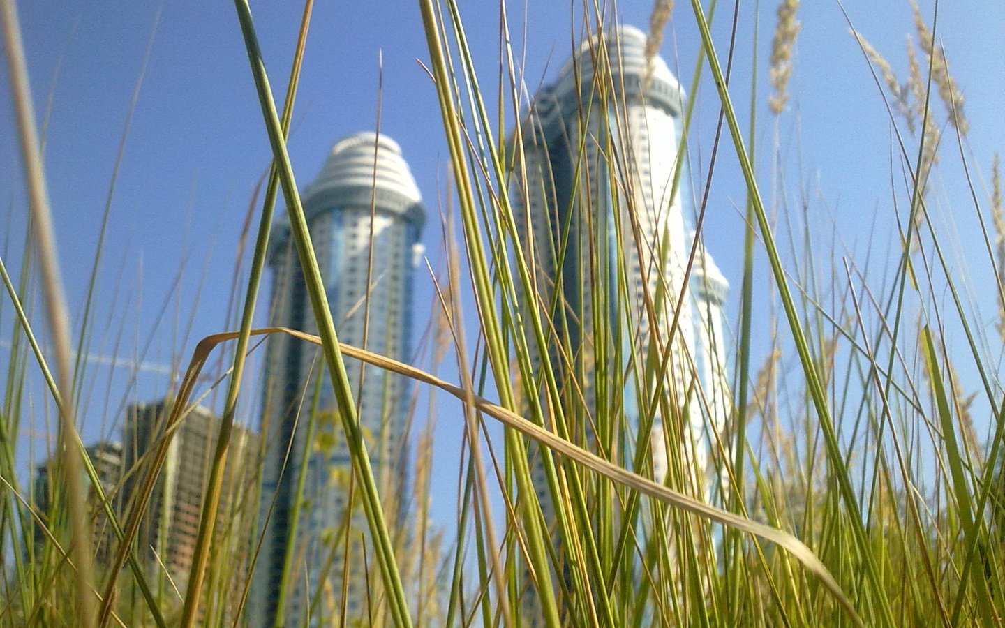 Обои трава, москва, город, небоскрёб, grass, moscow, the city, skyscraper разрешение 1920x1200 Загрузить