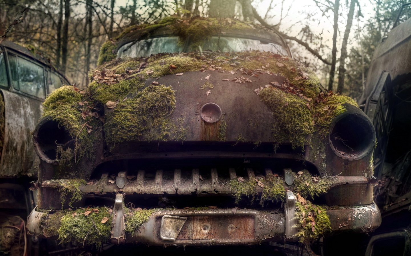 Обои машина, мох, лом, machine, moss, scrap разрешение 1920x1200 Загрузить