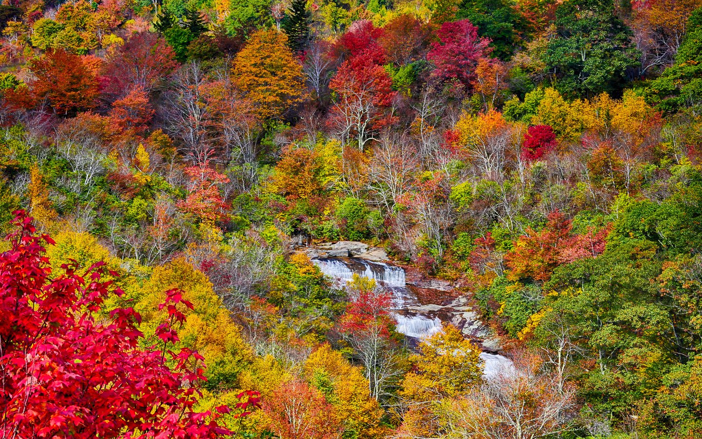 Обои деревья, осень, поток, речка, trees, autumn, stream, river разрешение 2048x1365 Загрузить