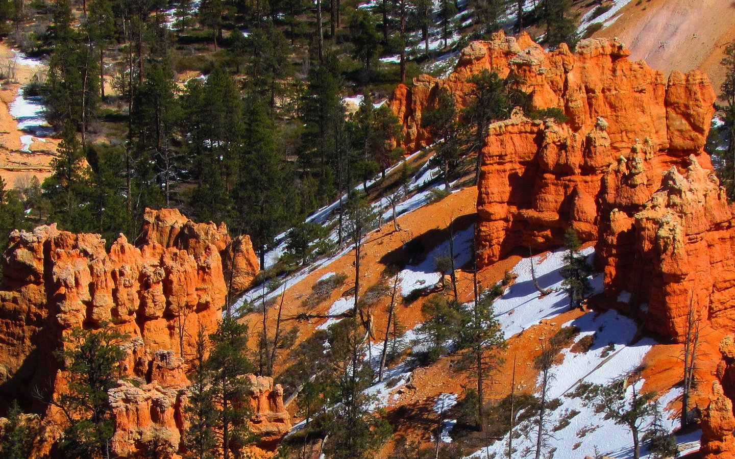 Обои деревья, скалы, снег, пейзаж, каньон, сша, штат юта, trees, rocks, snow, landscape, canyon, usa, utah разрешение 2048x1141 Загрузить