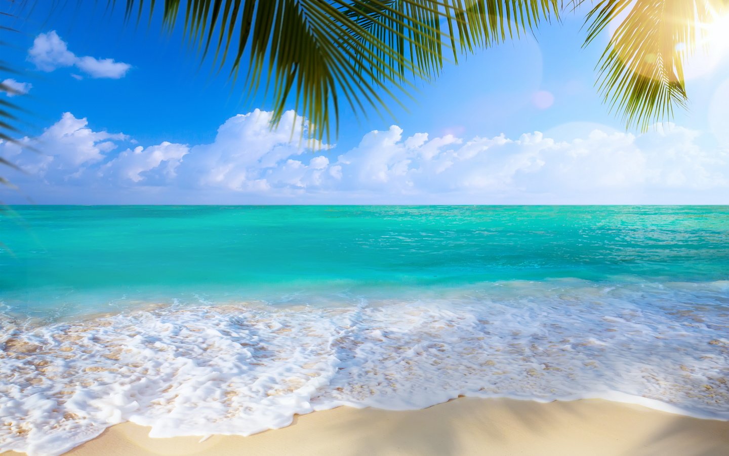 Обои берег, море, песок, пляж, пальмы, shore, sea, sand, beach, palm trees разрешение 6000x4000 Загрузить