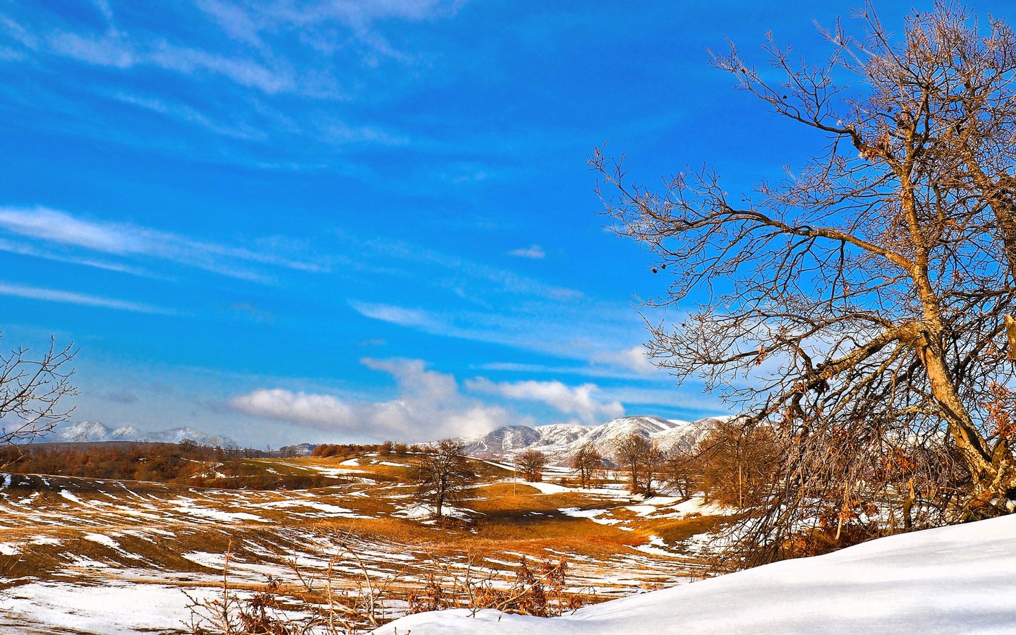 Обои небо, деревья, горы, снег, долина, the sky, trees, mountains, snow, valley разрешение 2048x1152 Загрузить