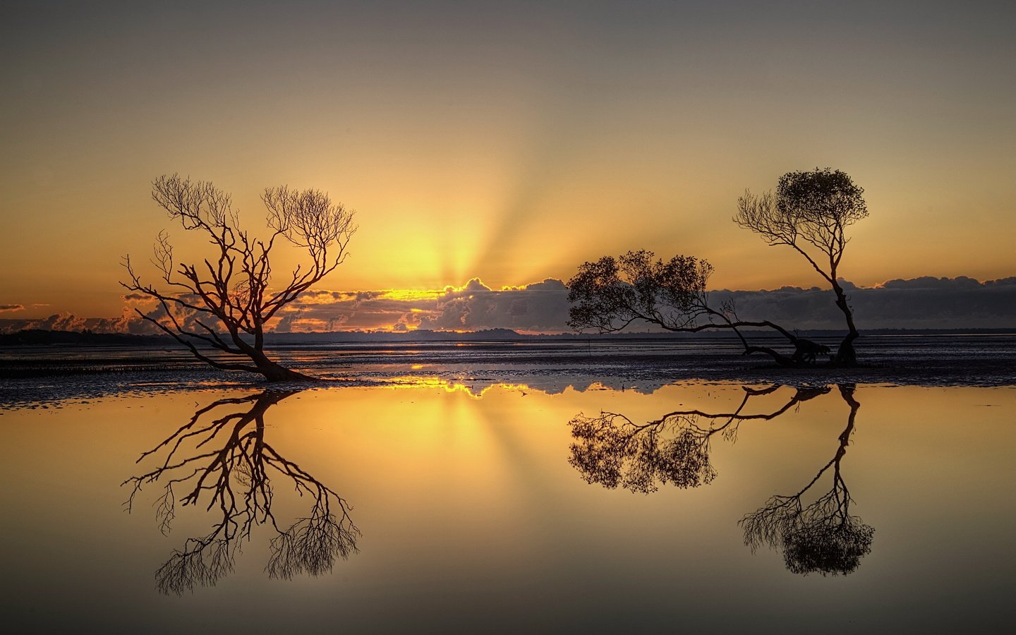 Обои деревья, вечер, озеро, природа, закат, отражение, trees, the evening, lake, nature, sunset, reflection разрешение 5592x3700 Загрузить