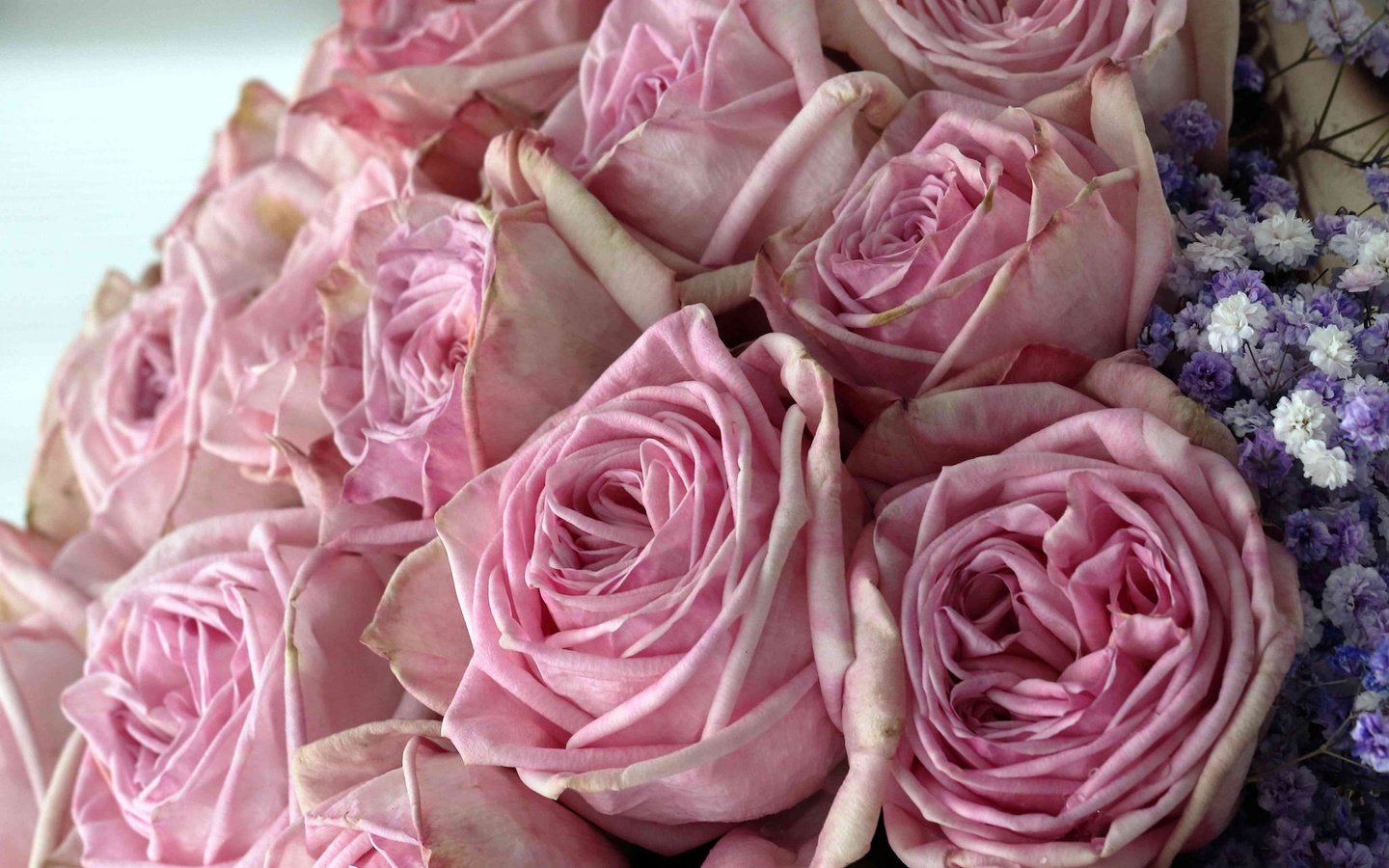 Обои цветы, бутоны, розы, букет, розовые, flowers, buds, roses, bouquet, pink разрешение 2048x1610 Загрузить