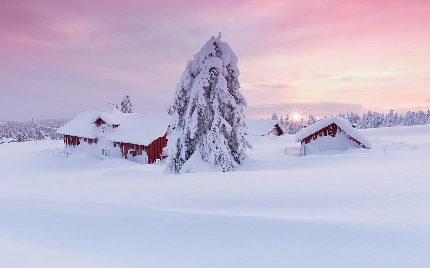 Обои снег, дерево, пейзаж, утро, дома, сугробы, snow, tree, landscape, morning, home, the snow разрешение 1920x1080 Загрузить