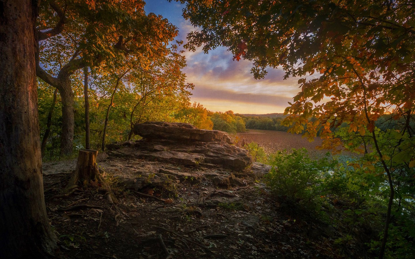 Обои природа, лес, парк, осень, nature, forest, park, autumn разрешение 1920x1200 Загрузить