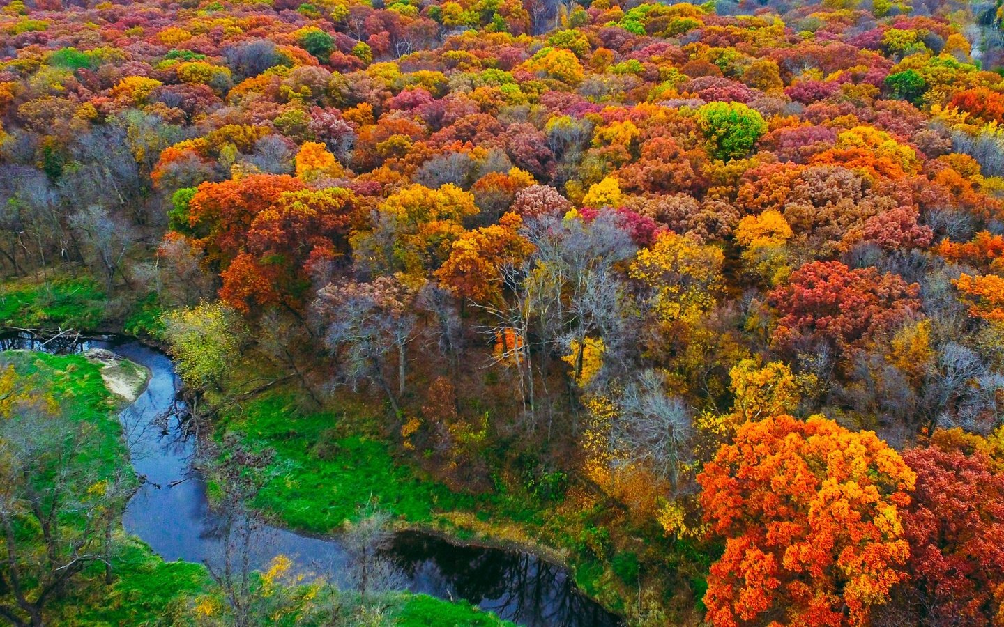 Обои деревья, река, природа, лес, листья, осень, trees, river, nature, forest, leaves, autumn разрешение 2880x1800 Загрузить