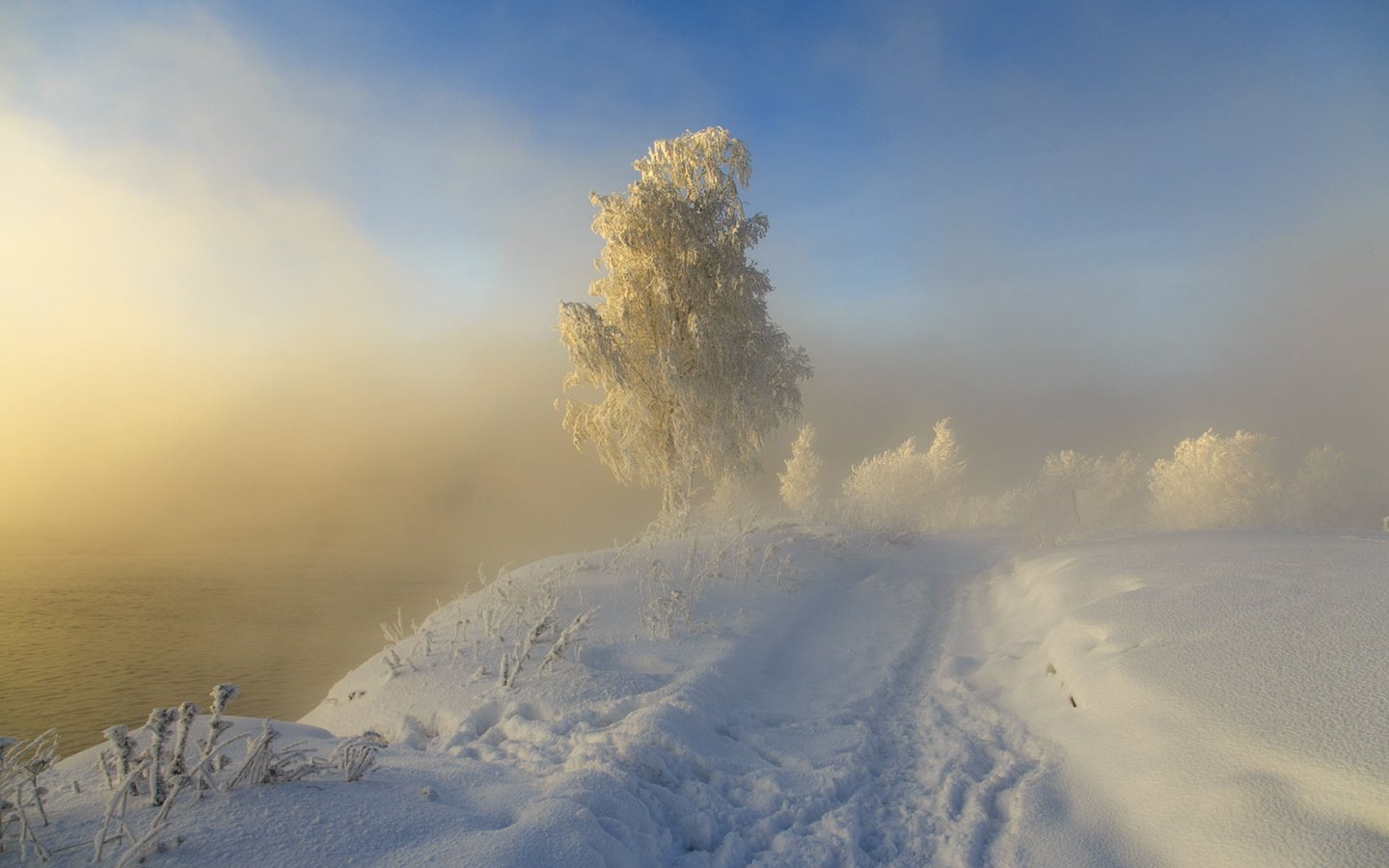 Обои дорога, следы, снег, sergeo, природа, дерево, зима, пейзаж, туман, иней, road, traces, snow, nature, tree, winter, landscape, fog, frost разрешение 1920x1200 Загрузить