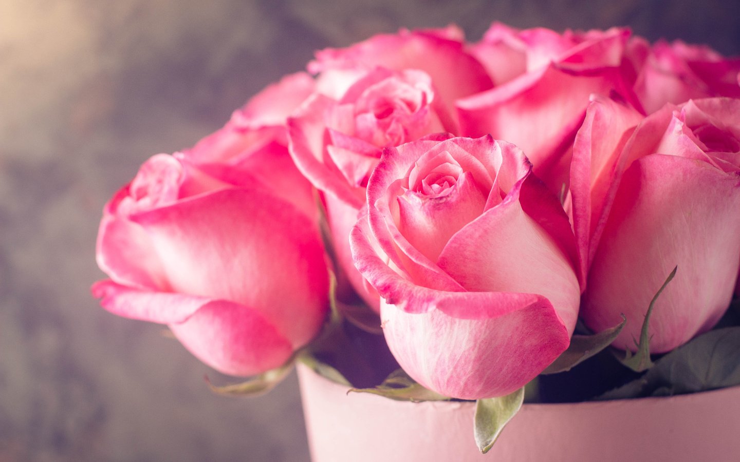 Обои цветы, бутоны, розы, лепестки, букет, розовые, flowers, buds, roses, petals, bouquet, pink разрешение 4000x2667 Загрузить