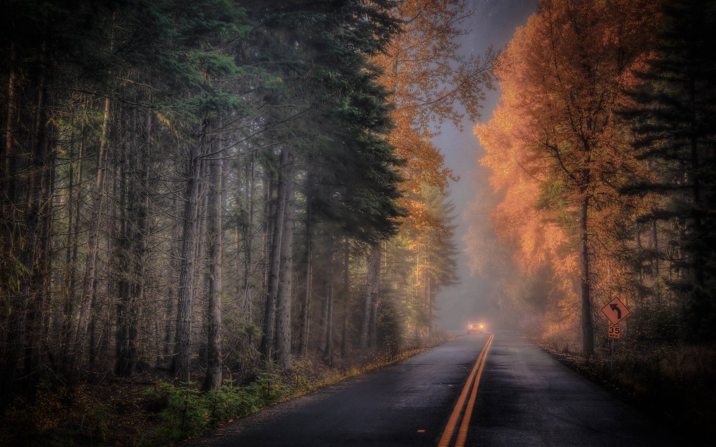 Обои дорога, лес, осень, road, forest, autumn разрешение 2048x1370 Загрузить