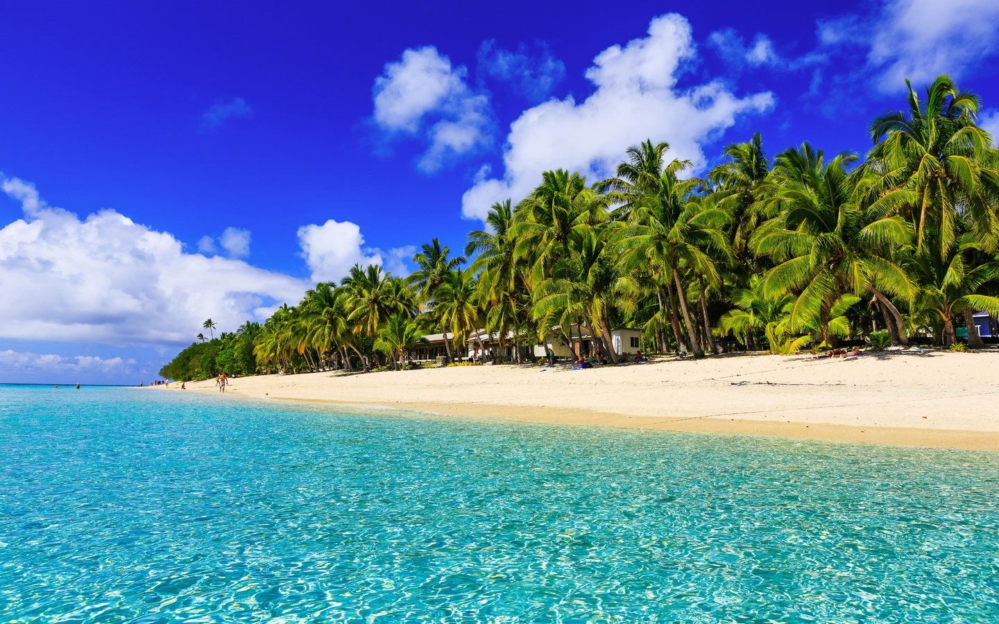 Обои пальмы, океан, тропический остров, palm trees, the ocean разрешение 5760x3840 Загрузить