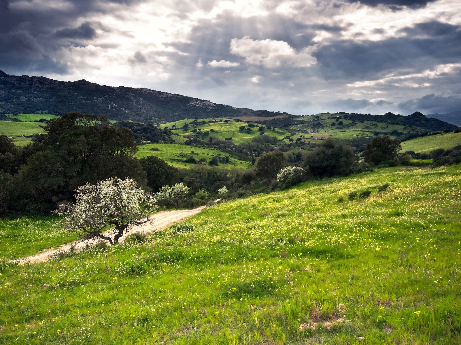 Обои холмы, зелень, италия, сардиния, hills, greens, italy, sardinia разрешение 2560x1600 Загрузить