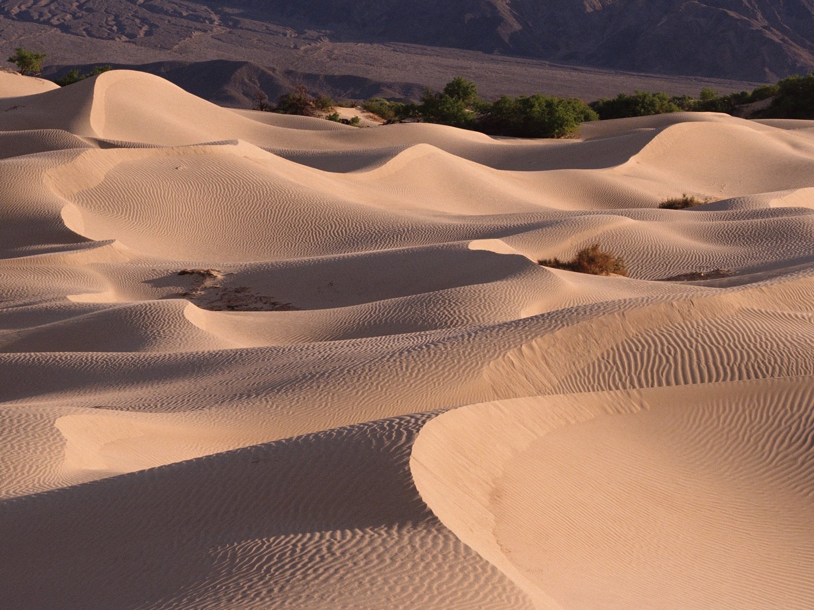 Обои песок, пустыня, барханы, sand, desert, the dunes разрешение 2295x1536 Загрузить