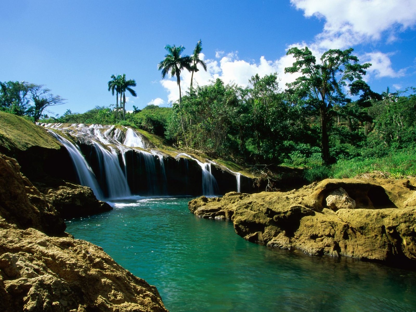 Обои река, водопад, пальмы, river, waterfall, palm trees разрешение 1999x1333 Загрузить
