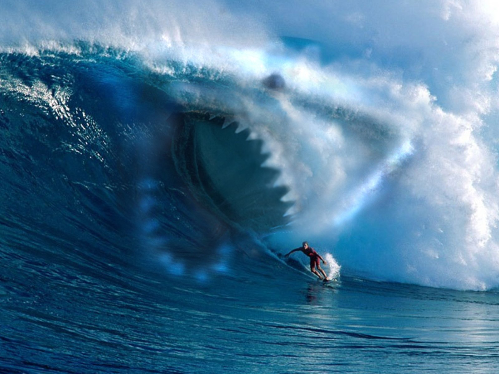 Обои море, волна, зубы, спорт, серфинг, акула, гавайи, sea, wave, teeth, sport, surfing, shark, hawaii разрешение 1920x1200 Загрузить
