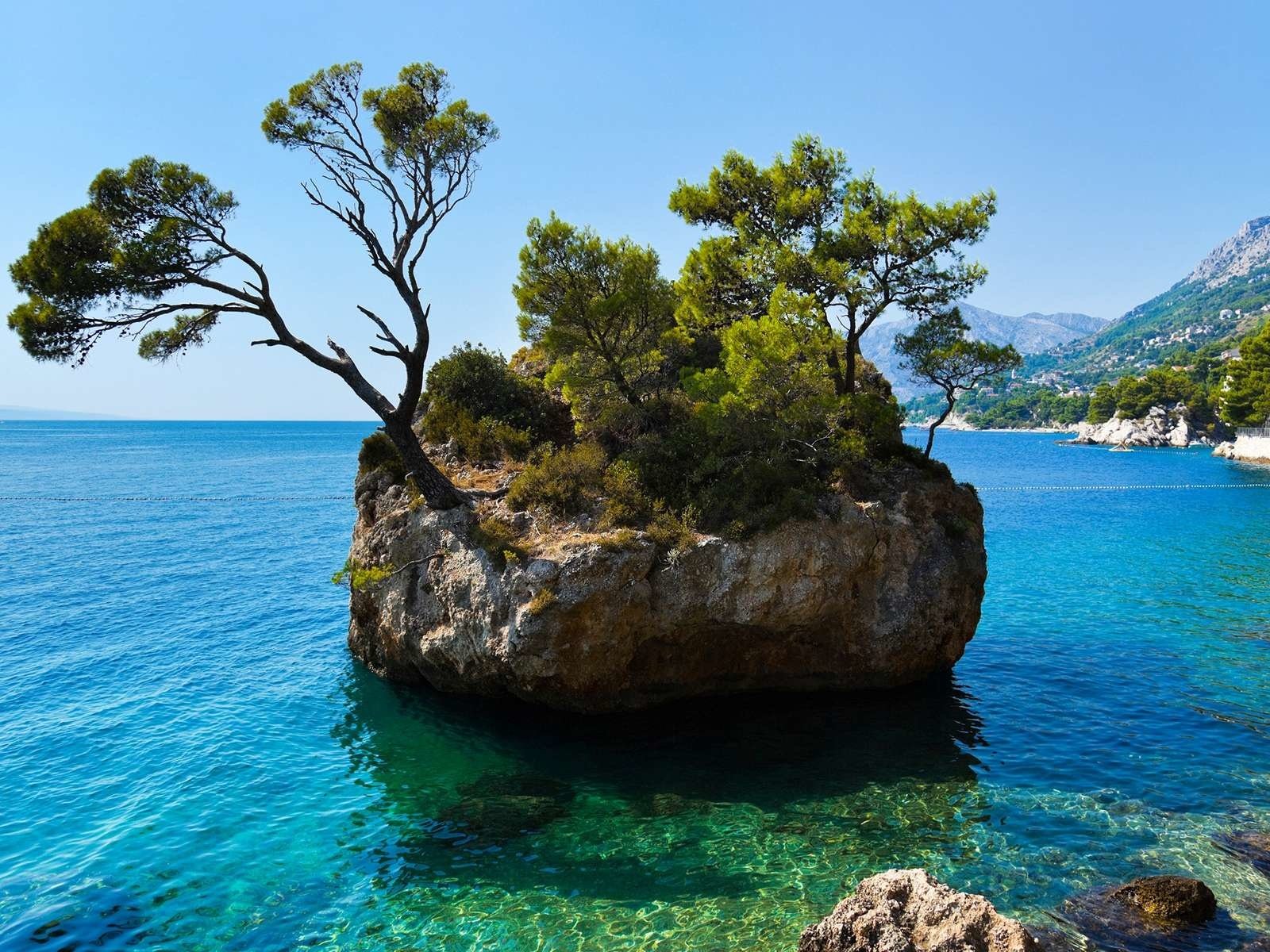 Обои деревья, море, остров, хорватия, trees, sea, island, croatia разрешение 1920x1200 Загрузить