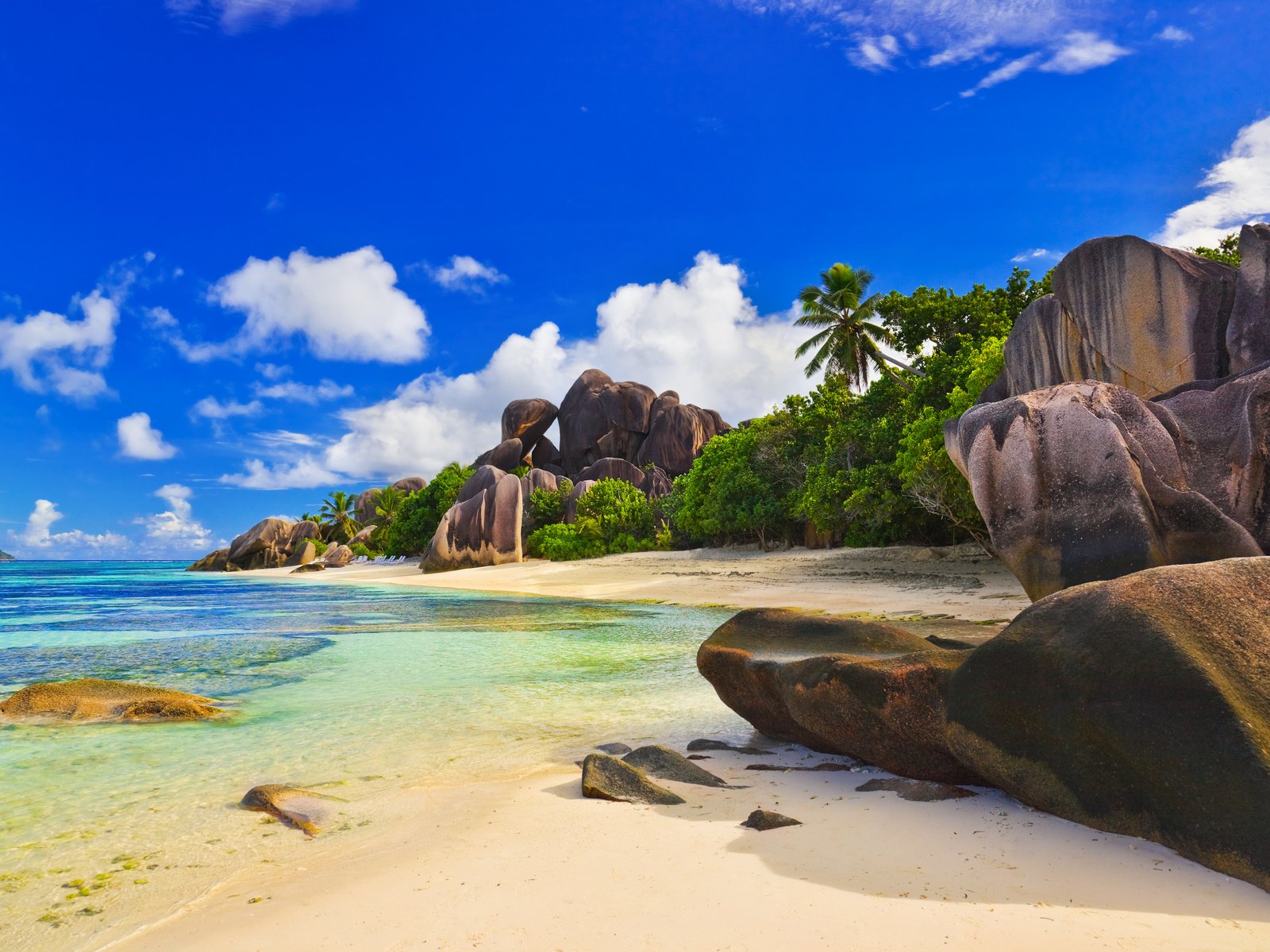 Обои камни, пляж, пальмы, сейшелы, stones, beach, palm trees, seychelles разрешение 4246x2827 Загрузить