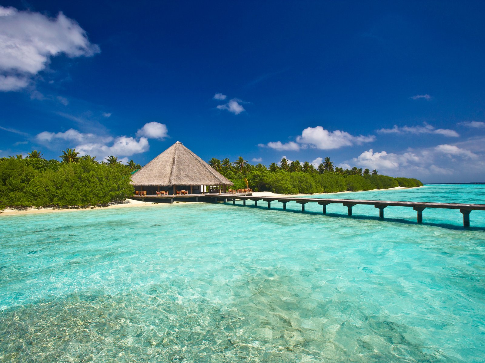 Обои остров, тропики, мальдивы, island, tropics, the maldives разрешение 2000x1330 Загрузить