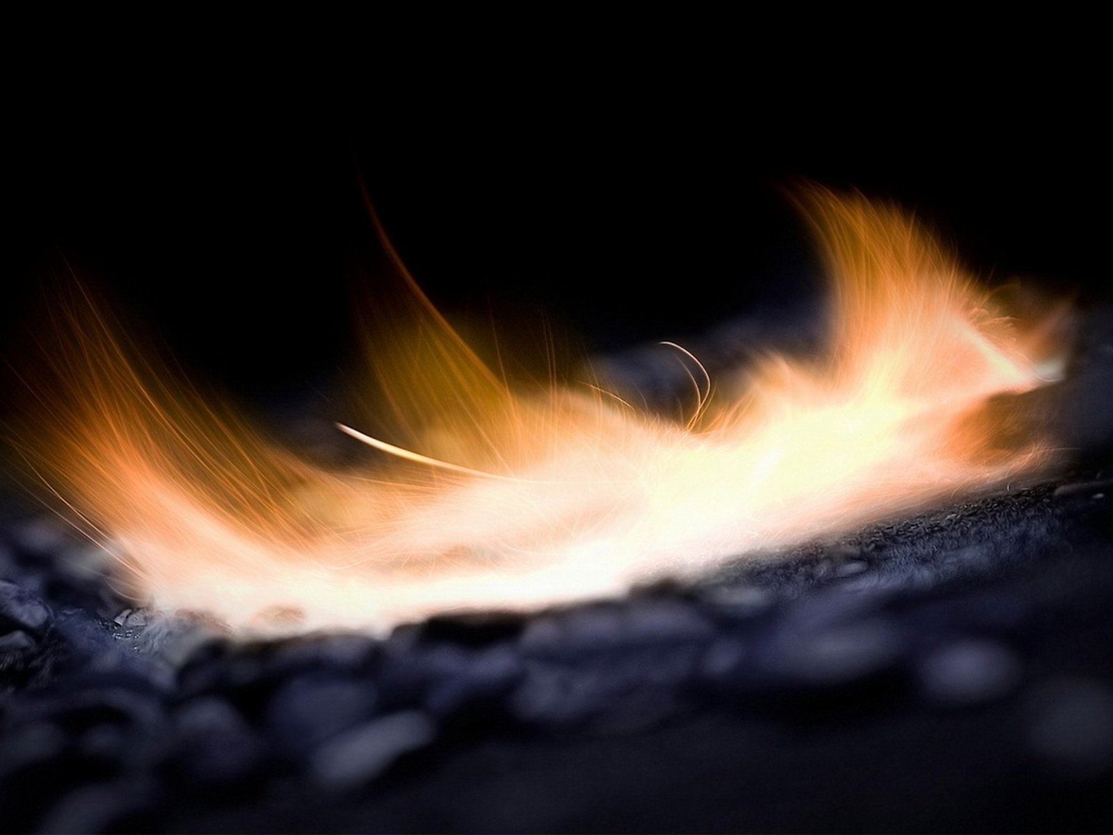 Обои огонь на углях, the fire on the coals разрешение 2560x1440 Загрузить
