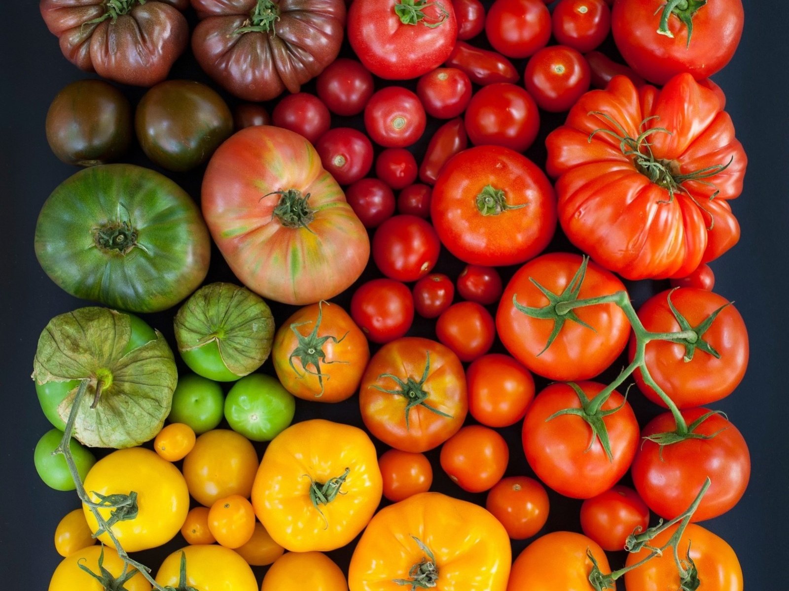 Обои разноцветные, урожай, овощи, помидоры, томаты, colorful, harvest, vegetables, tomatoes разрешение 1920x1771 Загрузить