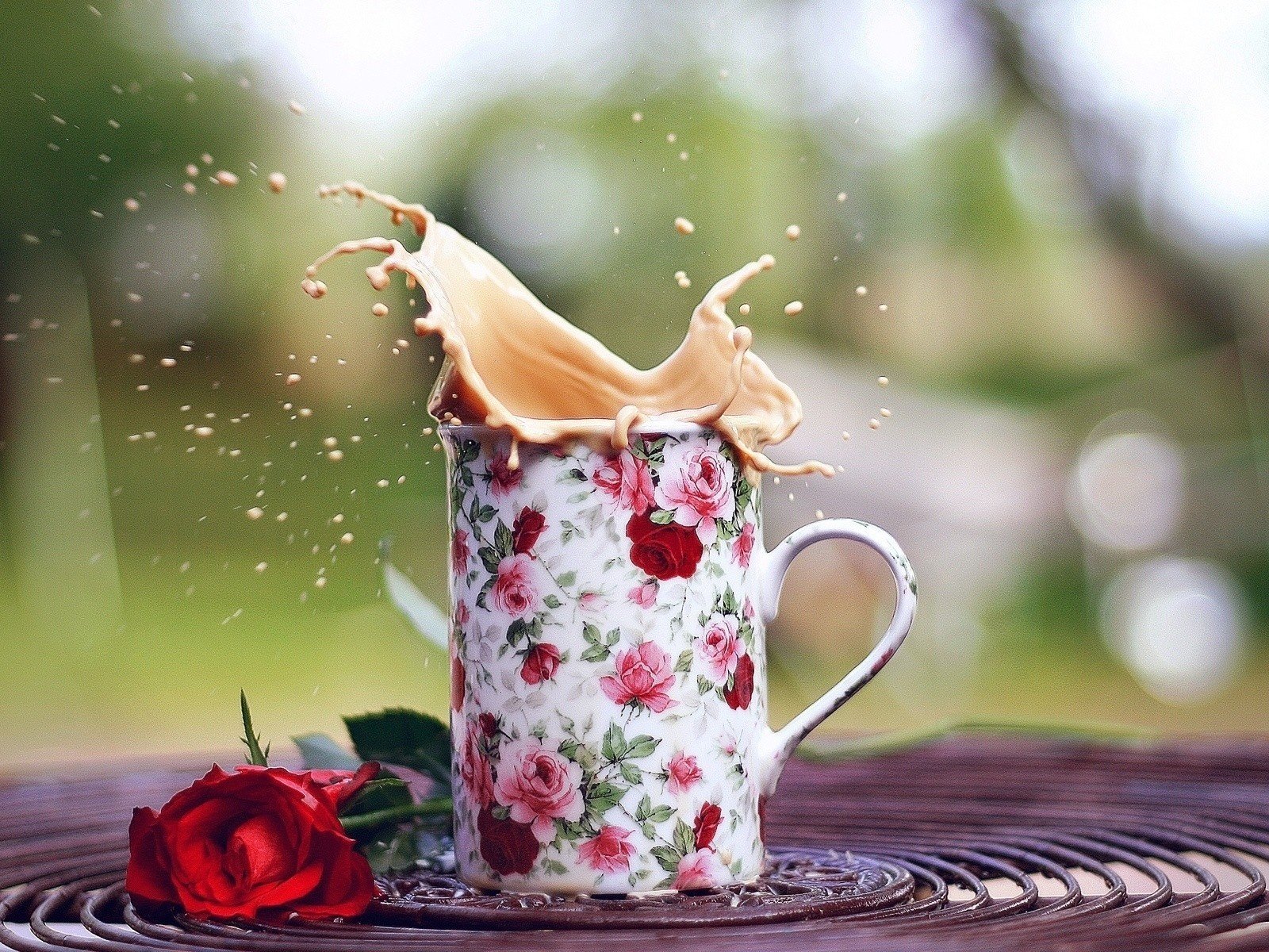 Обои роза, кофе, брызги, кружка, настроения, чашка, розочка, rose, coffee, squirt, mug, mood, cup, rosette разрешение 1920x1200 Загрузить