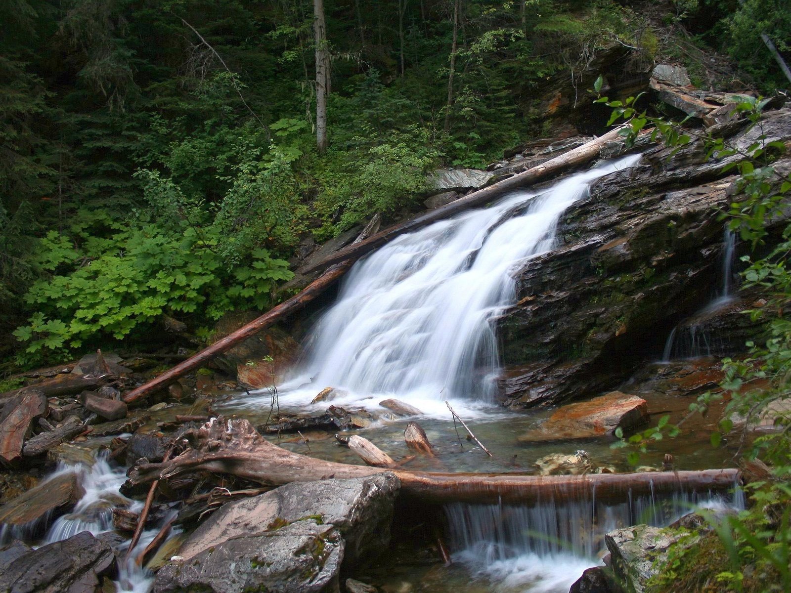 Обои деревья, природа, камни, лес, кусты, водопад, обломки, речка, trees, nature, stones, forest, the bushes, waterfall, the wreckage, river разрешение 2560x1600 Загрузить