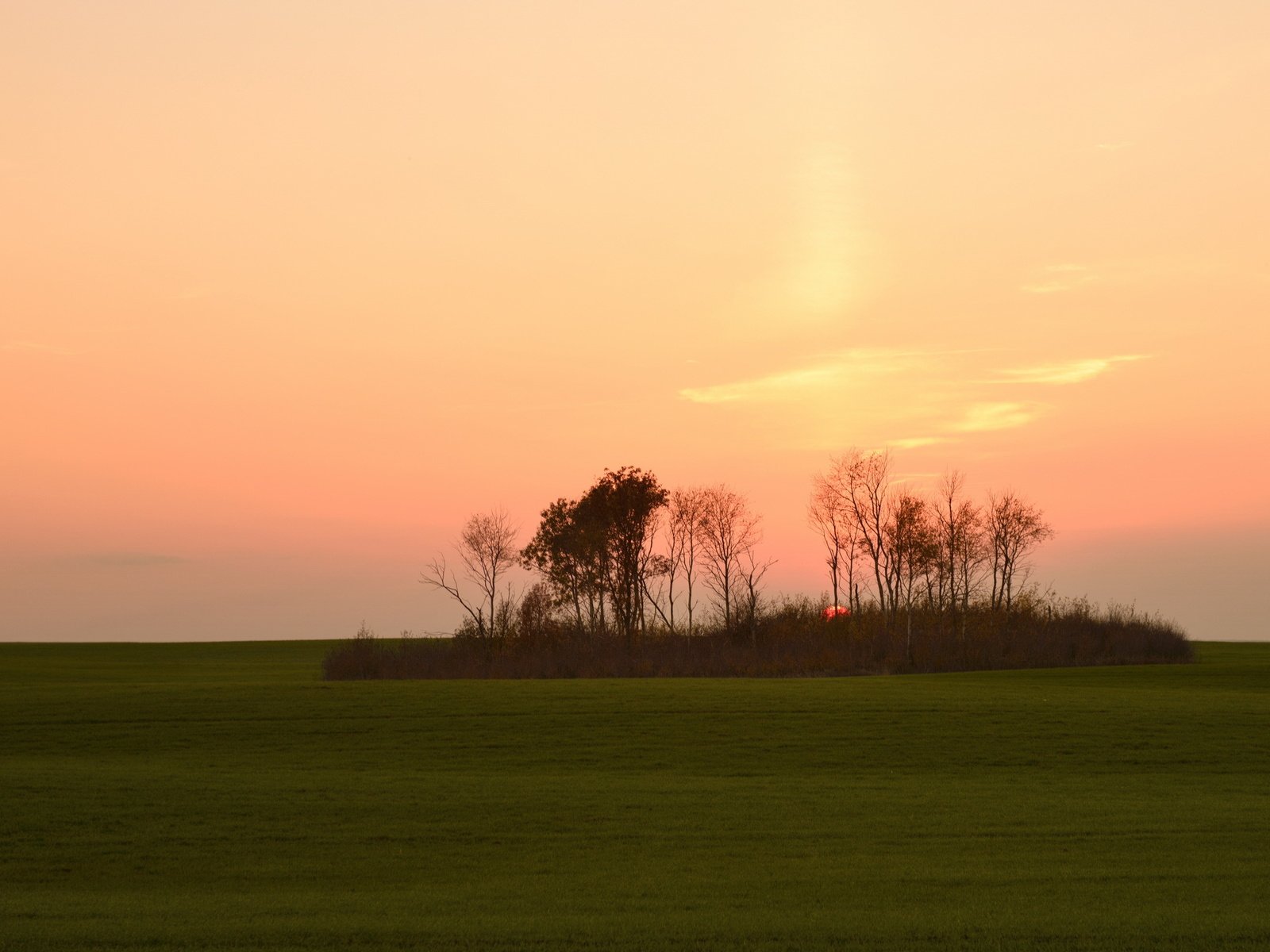 Обои закат, пейзаж, поле, sunset, landscape, field разрешение 2560x1600 Загрузить